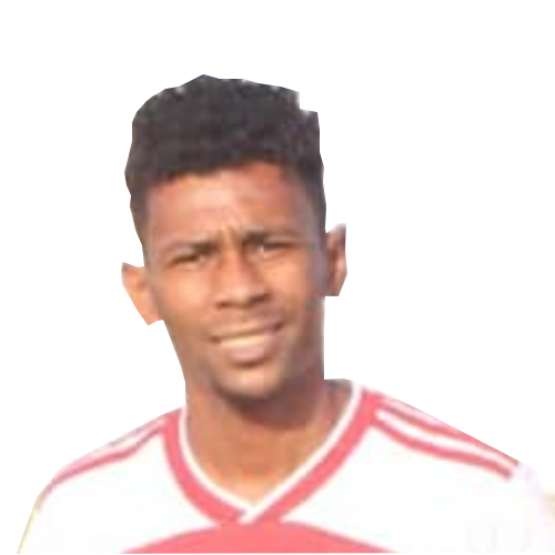 محمد الطيري