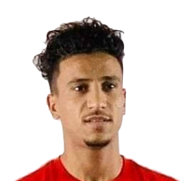 مفيد جمال 
