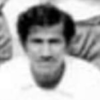 محمد شرف أحمد